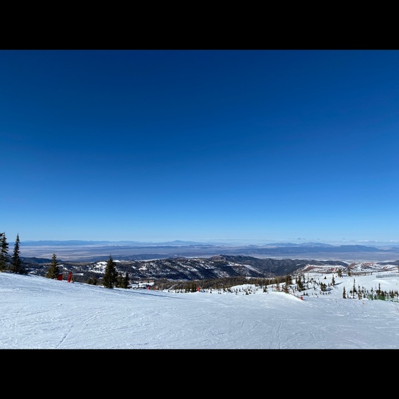 Meet your Posher, Jeremy - Picture 1 of 1